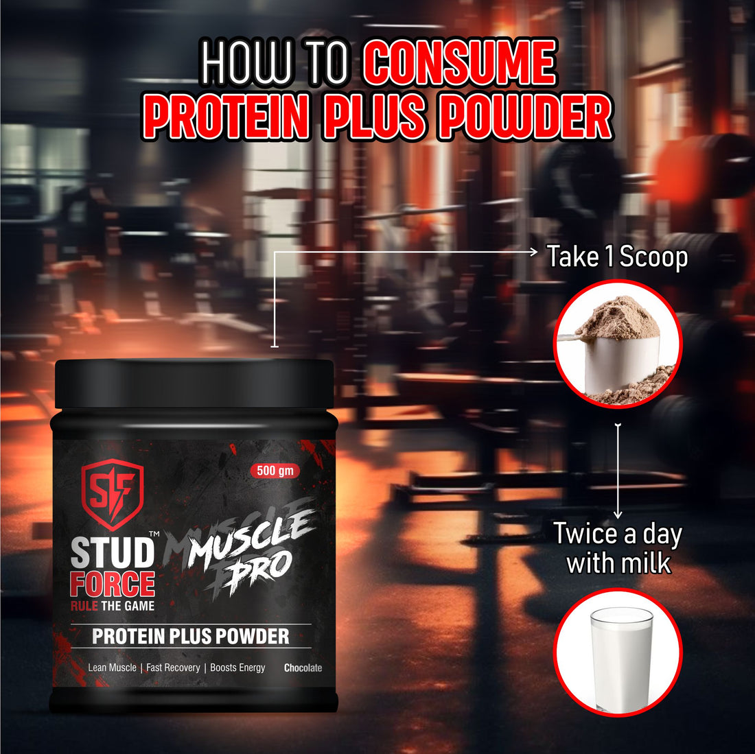 MUSCLE PRO PROTEIN (500 GM)