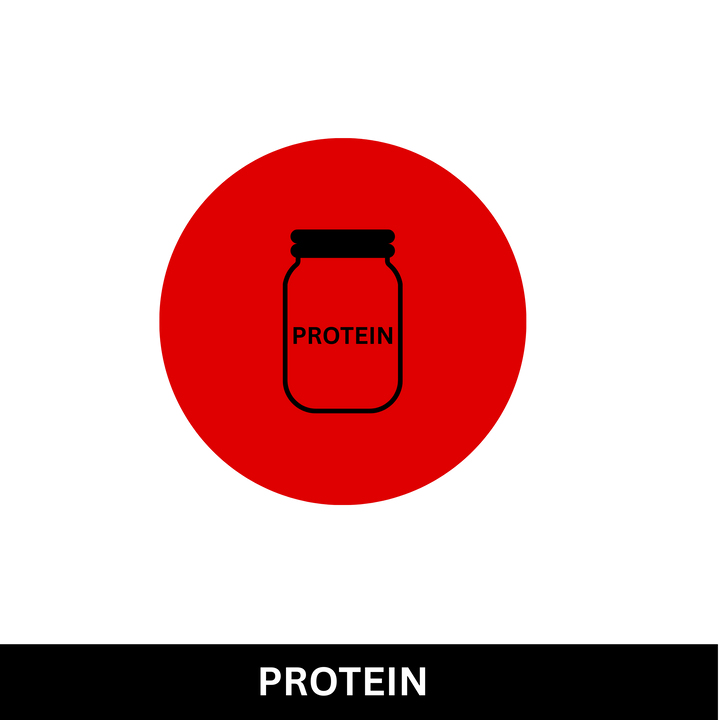 PROTEIN