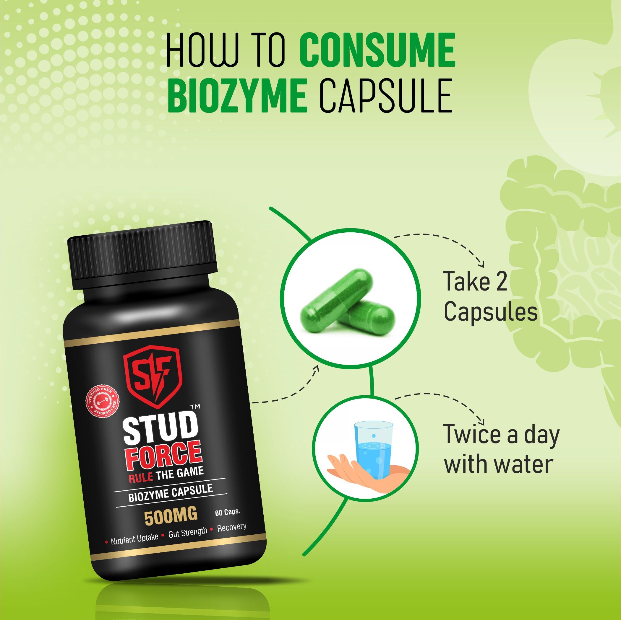 BIOZYME 500 CAPSULES (60 CAPS)