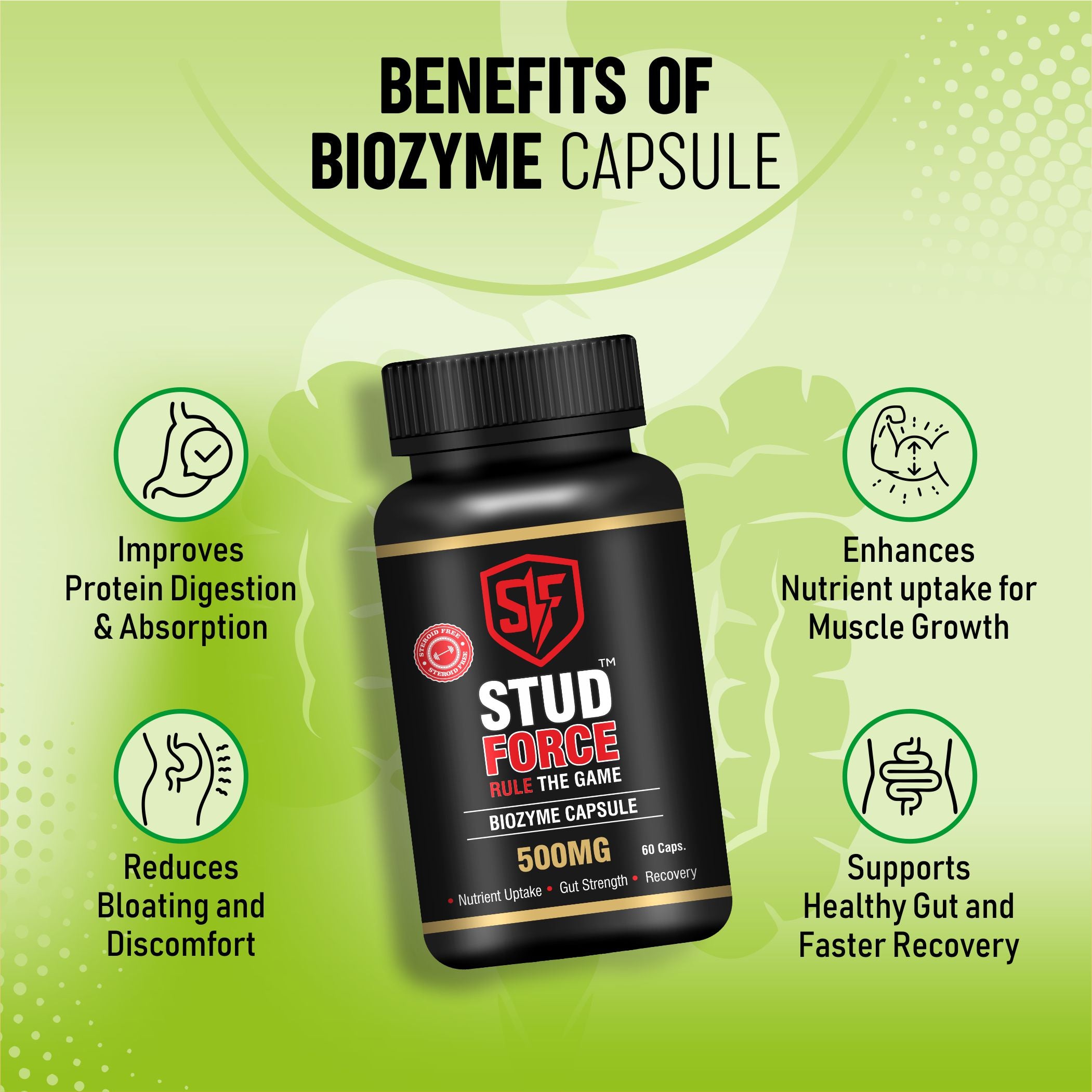 BIOZYME 500 CAPSULES (60 CAPS)