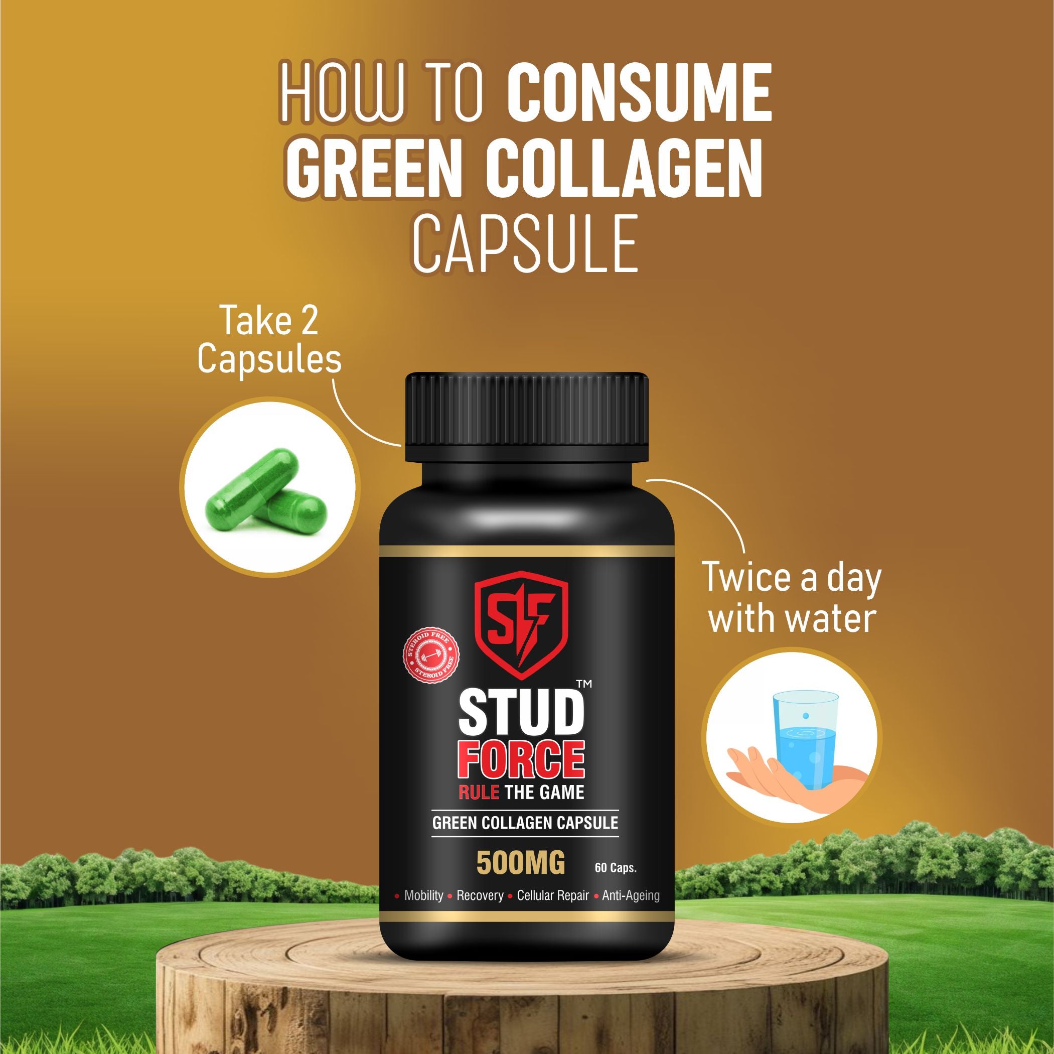 GREEN COLLAGEN 500 CAPSULES (60 CAPS)