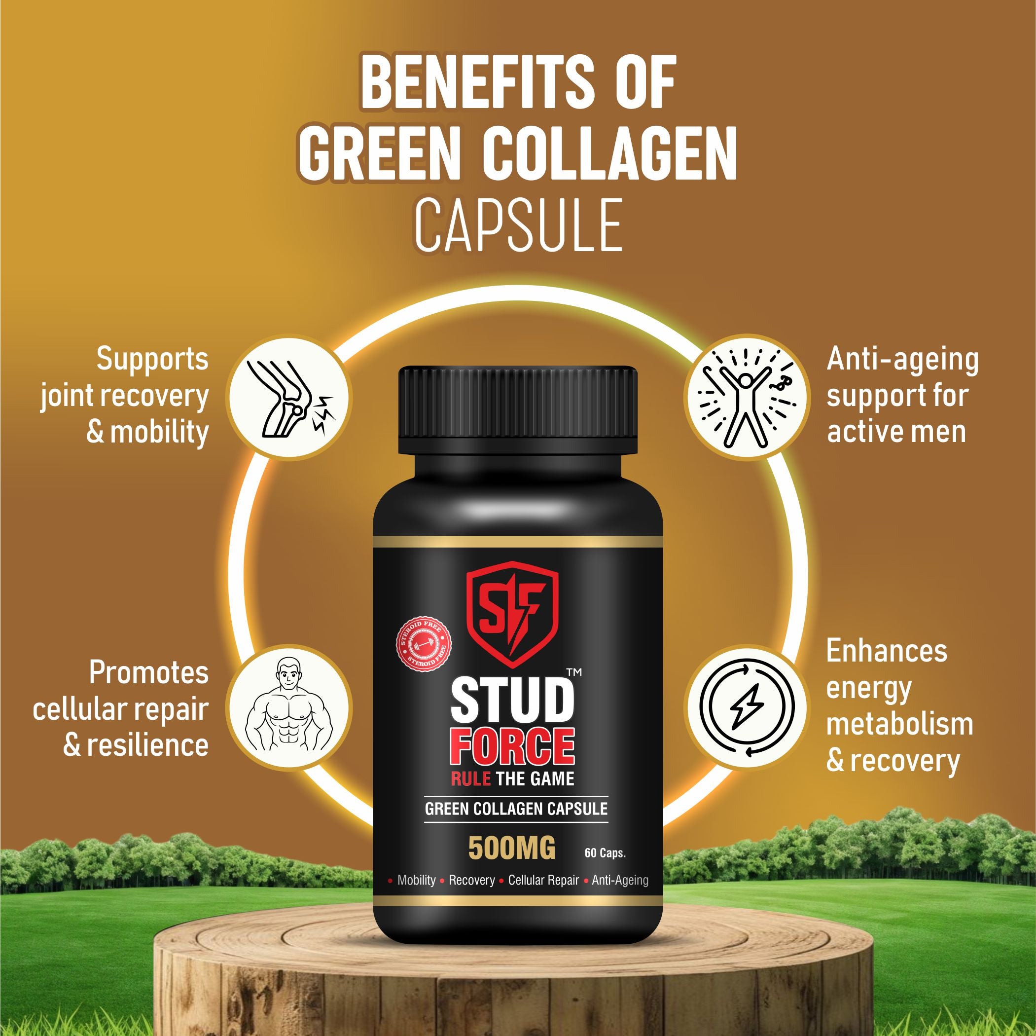 GREEN COLLAGEN 500 CAPSULES (60 CAPS)
