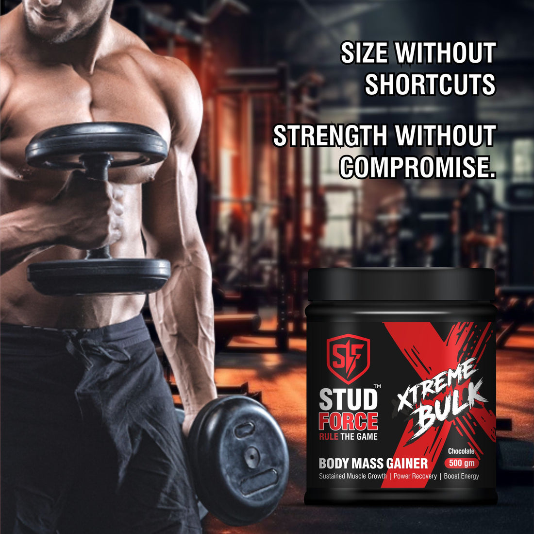 XTREME BULK MASS GAINER (500 GM)