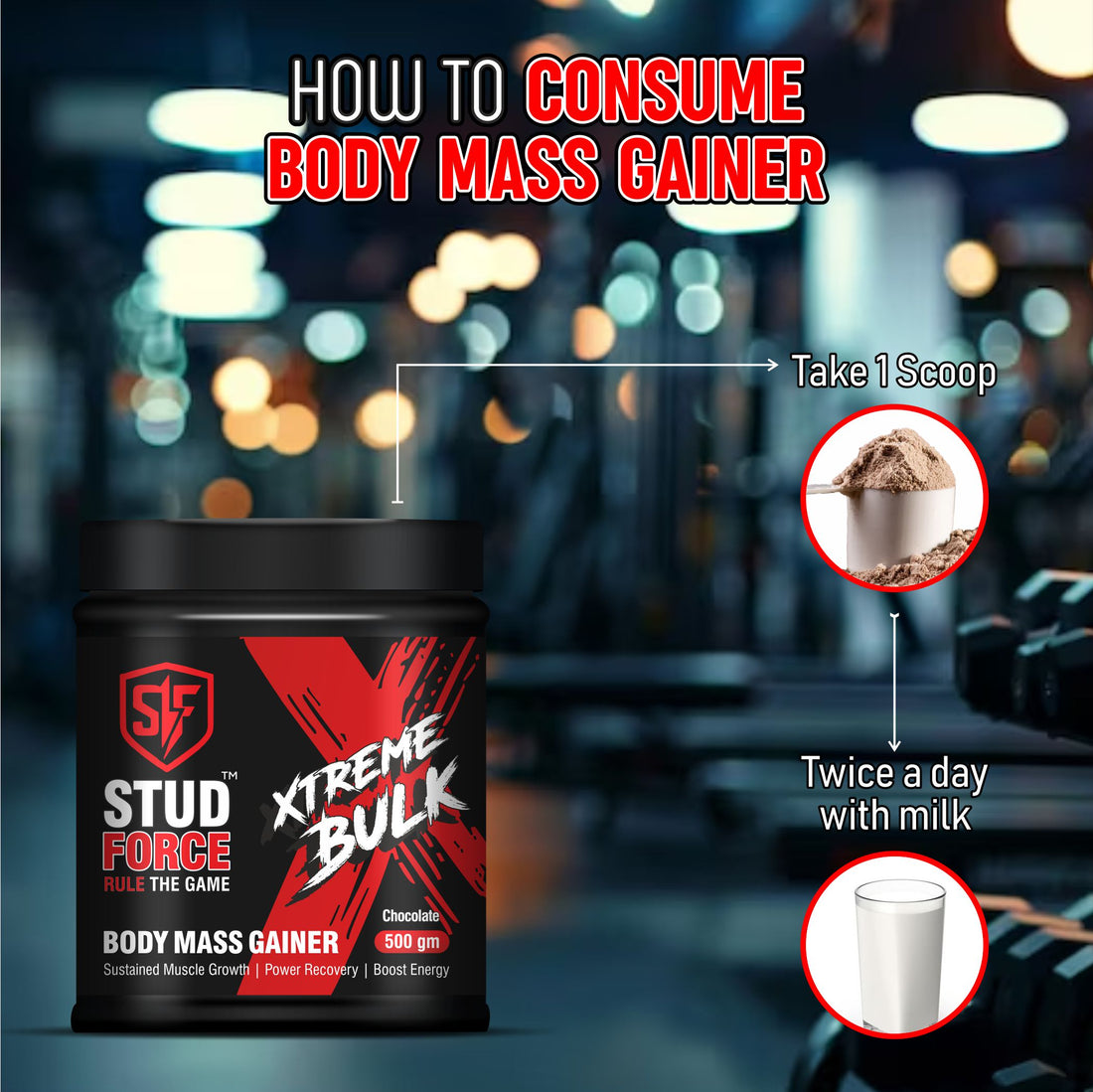 XTREME BULK MASS GAINER (500 GM)