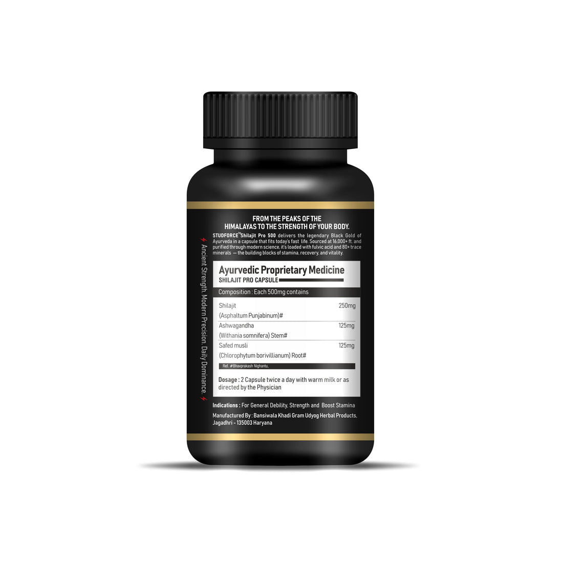 SHILAJIT PRO 500 CAPSULES