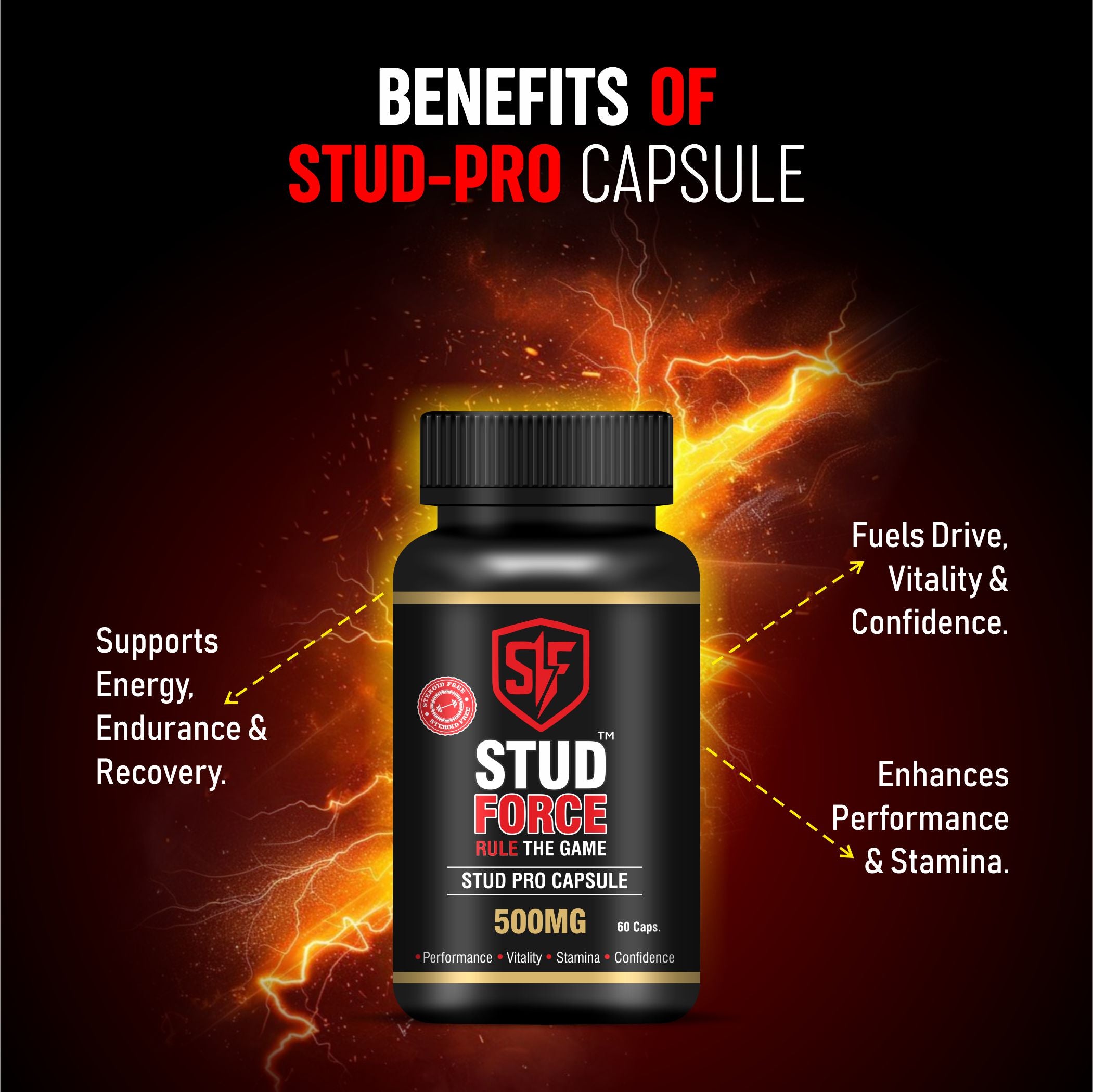 STUDPRO 500 CAPSULES (60 CAPS)